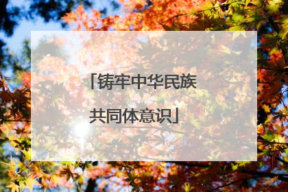 铸牢中华民族共同体意识