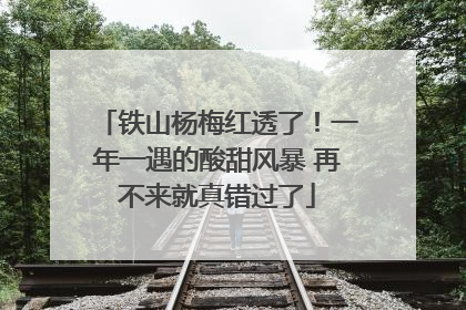 铁山杨梅红透了！一年一遇的酸甜风暴 再不来就真错过了