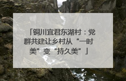 铜川宜君东湖村：党群共建让乡村从“一时美”变“持久美”