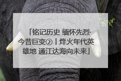 铭记历史 缅怀先烈·今昔巨变②丨烽火年代英雄地 通江达海向未来