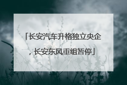 长安汽车升格独立央企，长安东风重组暂停