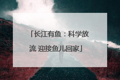长江有鱼：科学放流 迎接鱼儿回家