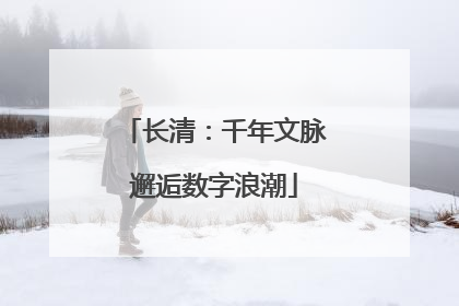 长清：千年文脉邂逅数字浪潮
