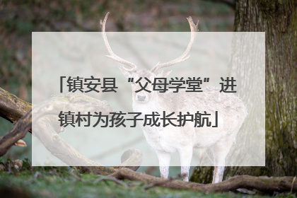 镇安县“父母学堂”进镇村为孩子成长护航