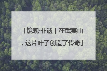 镜观·非遗｜在武夷山，这片叶子创造了传奇