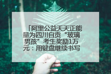 阿里公益天天正能量为四川自贡“玻璃男孩”考生奖励1万元：用键盘继续书写不设限的人生