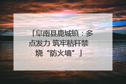 阜南县鹿城镇：多点发力 筑牢秸秆禁烧“防火墙”