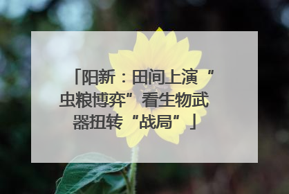 阳新：田间上演“虫粮博弈”看生物武器扭转“战局”