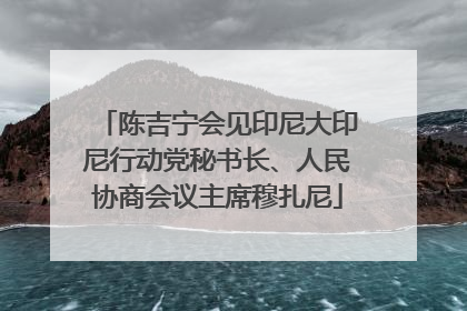 陈吉宁会见印尼大印尼行动党秘书长、人民协商会议主席穆扎尼