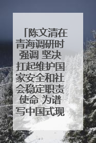 陈文清在青海调研时强调 坚决扛起维护国家安全和社会稳定职责使命 为谱写中国式现代化青海篇章贡献政法力量
