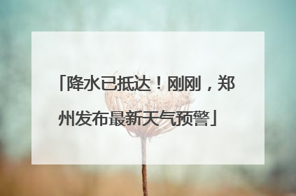 降水已抵达！刚刚，郑州发布最新天气预警