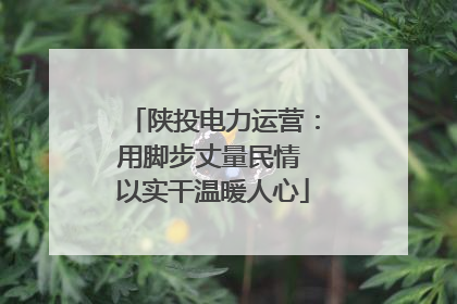 陕投电力运营：用脚步丈量民情 以实干温暖人心