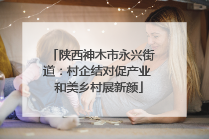 陕西神木市永兴街道：村企结对促产业 和美乡村展新颜