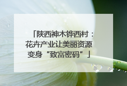 陕西神木铧西村：花卉产业让美丽资源变身“致富密码”