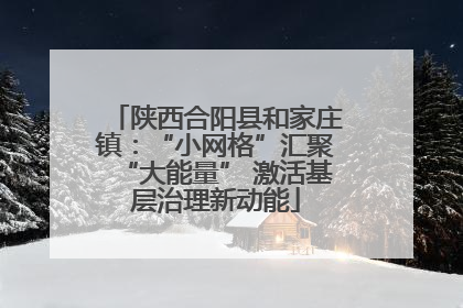 陕西合阳县和家庄镇：“小网格”汇聚“大能量” 激活基层治理新动能