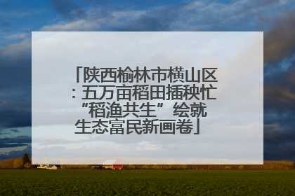 陕西榆林市横山区：五万亩稻田插秧忙 “稻渔共生”绘就生态富民新画卷