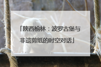 陕西榆林：波罗古堡与非遗剪纸的时空对话
