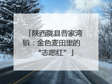 陕西陇县曹家湾镇：金色麦田里的“志愿红”