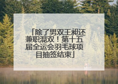 除了男双王昶还兼职混双！第十五届全运会羽毛球项目抽签结束