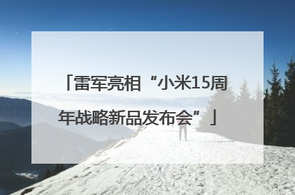 雷军亮相“小米15周年战略新品发布会”