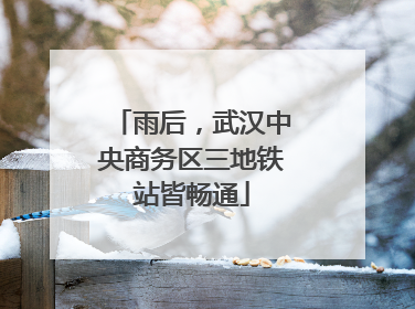 雨后，武汉中央商务区三地铁站皆畅通