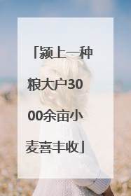 颍上一种粮大户3000余亩小麦喜丰收