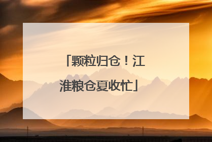 颗粒归仓！江淮粮仓夏收忙