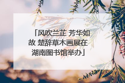 风吹兰芷 芳华如故 楚辞草木画展在湖南图书馆举办