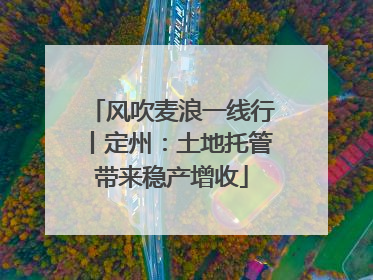 风吹麦浪一线行丨定州：土地托管带来稳产增收
