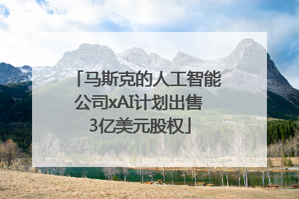 马斯克的人工智能公司xAI计划出售3亿美元股权