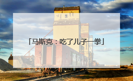 马斯克：吃了儿子一拳