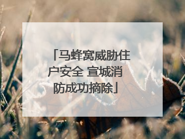 马蜂窝威胁住户安全 宣城消防成功摘除