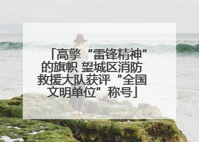 高擎“雷锋精神”的旗帜 望城区消防救援大队获评“全国文明单位”称号