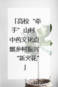 高校“牵手”山村 中药文化点燃乡村振兴“新火花”