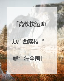高铁快运助力广西荔枝“鲜”行全国