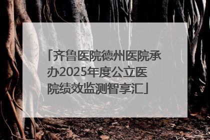 齐鲁医院德州医院承办2025年度公立医院绩效监测智享汇