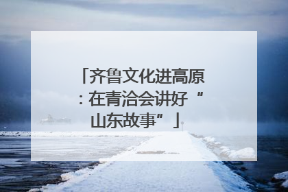 齐鲁文化进高原：在青洽会讲好“山东故事”