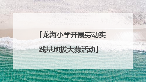 龙海小学开展劳动实践基地拔大蒜活动
