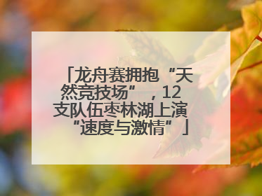 龙舟赛拥抱“天然竞技场”，12支队伍枣林湖上演“速度与激情”