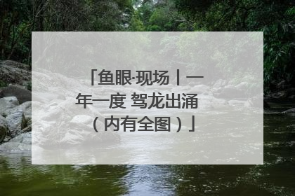 鱼眼·现场丨一年一度 驾龙出涌（内有全图）