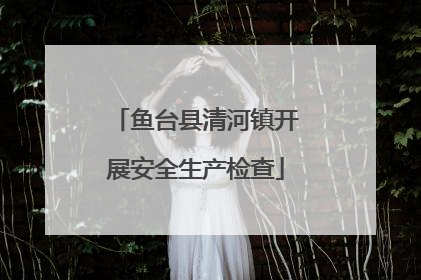鱼台县清河镇开展安全生产检查
