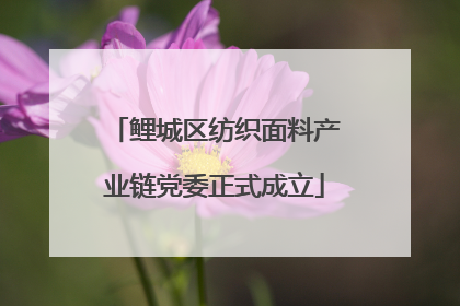 鲤城区纺织面料产业链党委正式成立