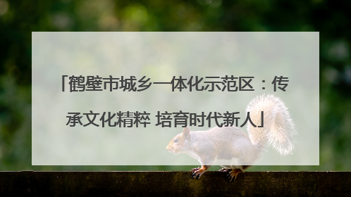 鹤壁市城乡一体化示范区：传承文化精粹 培育时代新人