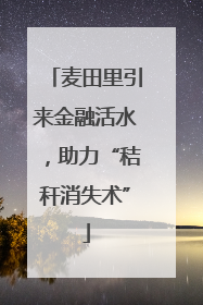 麦田里引来金融活水，助力“秸秆消失术”