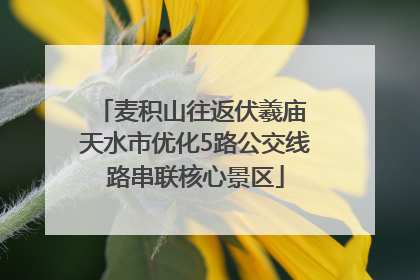麦积山往返伏羲庙 天水市优化5路公交线路串联核心景区