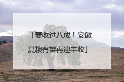 麦收过八成！安徽夏粮有望再迎丰收