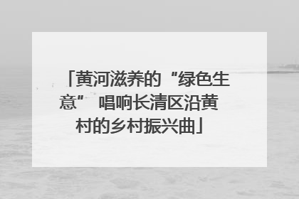 黄河滋养的“绿色生意” 唱响长清区沿黄村的乡村振兴曲