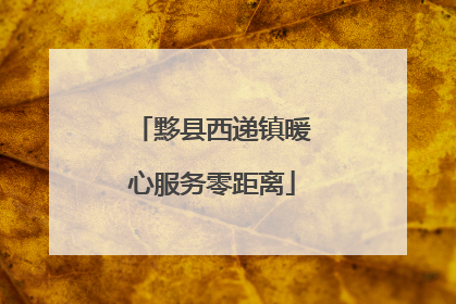 黟县西递镇暖心服务零距离