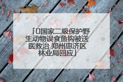 ﻿国家二级保护野生动物误食鱼钩被送医救治 郑州惠济区林业局回应