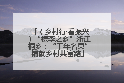 （乡村行·看振兴）“槜李之乡”浙江桐乡：“千年名果”铺就乡村共富路